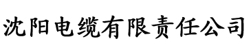 成人抖音下载安装ios电缆厂logo